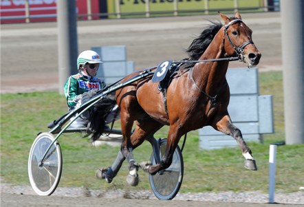 Åke Svanstedt kör Torwald Palema